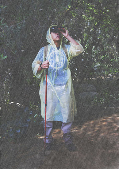 Emergency Poncho with Hood and Sleeves